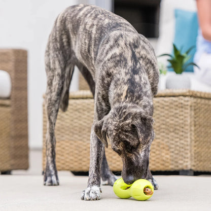West Paw Qwizl Hundespielzeug Small 14.5 cm Blau bei Futter24