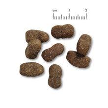 Belcando Adult GF Horse Hundefutter getreidefrei bei Futter24