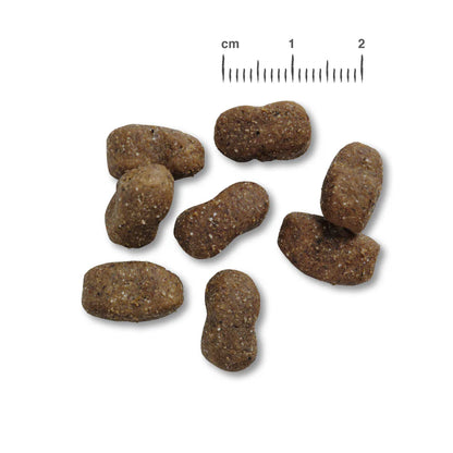 Belcando Adult GF Beef Hundefutter getreidefrei bei Futter24