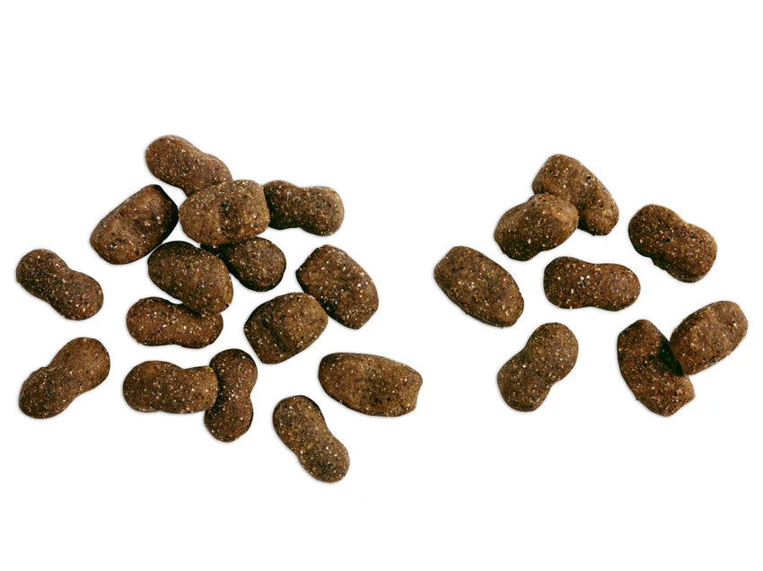 Belcando Baseline Young Hundefutter Produktansicht bei Futter24