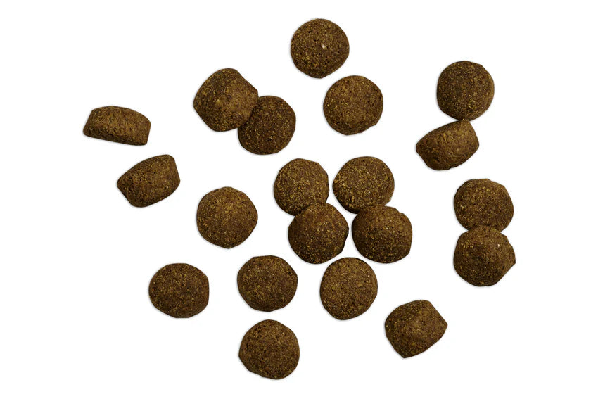 Belcando Baseline Fisher Hundefutter Produktansicht bei Futter24