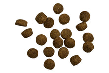 Belcando Baseline Fisher Hundefutter Produktansicht bei Futter24