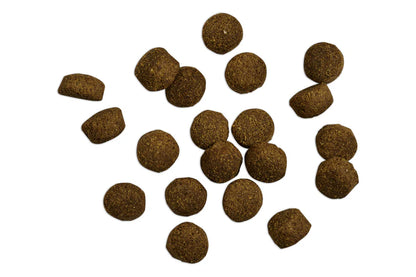 Belcando Baseline Fisher Hundefutter Produktansicht bei Futter24