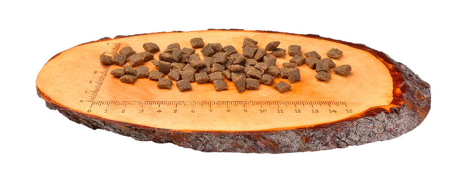 Carnilove Lamm und Hundefutter bei Futter24