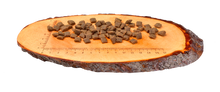 Carnilove Lamm und Hundefutter bei Futter24