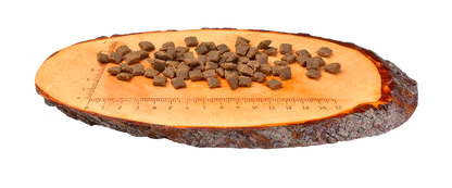Carnilove Lamm und Hundefutter bei Futter24