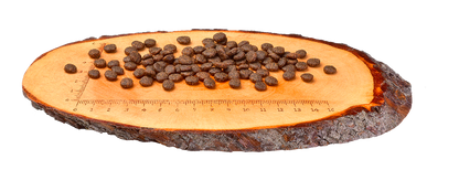 Carnilove Fresh Dry Hundefutter mit Huhn und Kaninchen bei Futter24