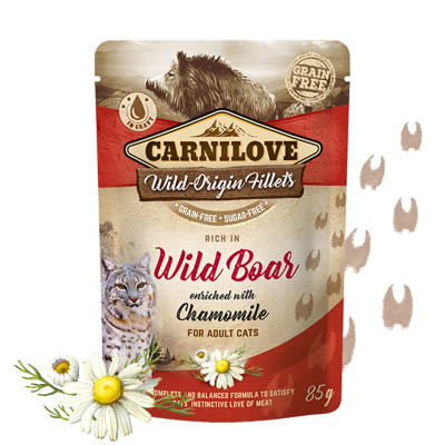 Carnilove Wildschwein mit Kamille Katzen-Nassfutter 85g bei Futter24