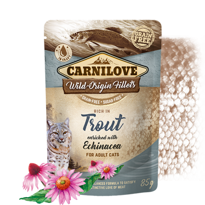 Carnilove Forelle mit Echinacea Katzen-Nassfutter 85g bei Futter24