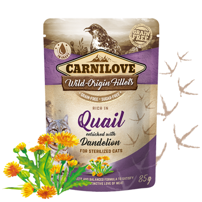 Carnilove Wachtel mit Löwenzahn Katzen-Nassfutter 85g bei Futter24