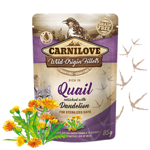 Carnilove Wachtel mit Löwenzahn Katzen-Nassfutter 85g bei Futter24