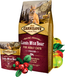 Carnilove Lamm und Hundefutter bei Futter24