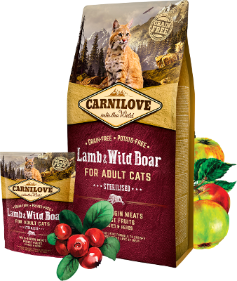 Carnilove Lamm und Hundefutter bei Futter24