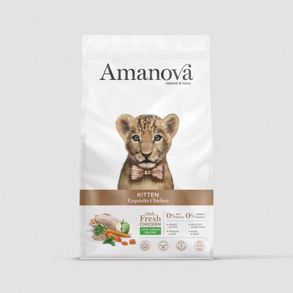 Amanova Kitten Exquisite Chicken Katzenfutter mit Huhn bei Futter24