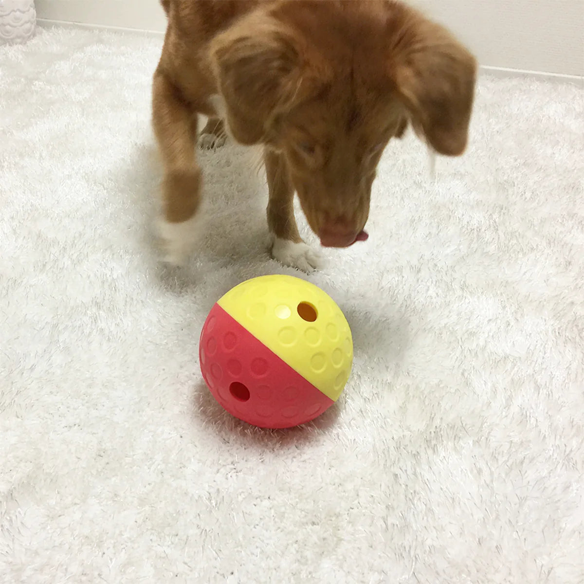 Nina Ottosson Treat Tumble Large Hundespielzeug bei Futter24