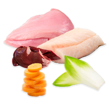 Puromenu Menü Kabeljau und Truthahn Produktansicht bei Futter24