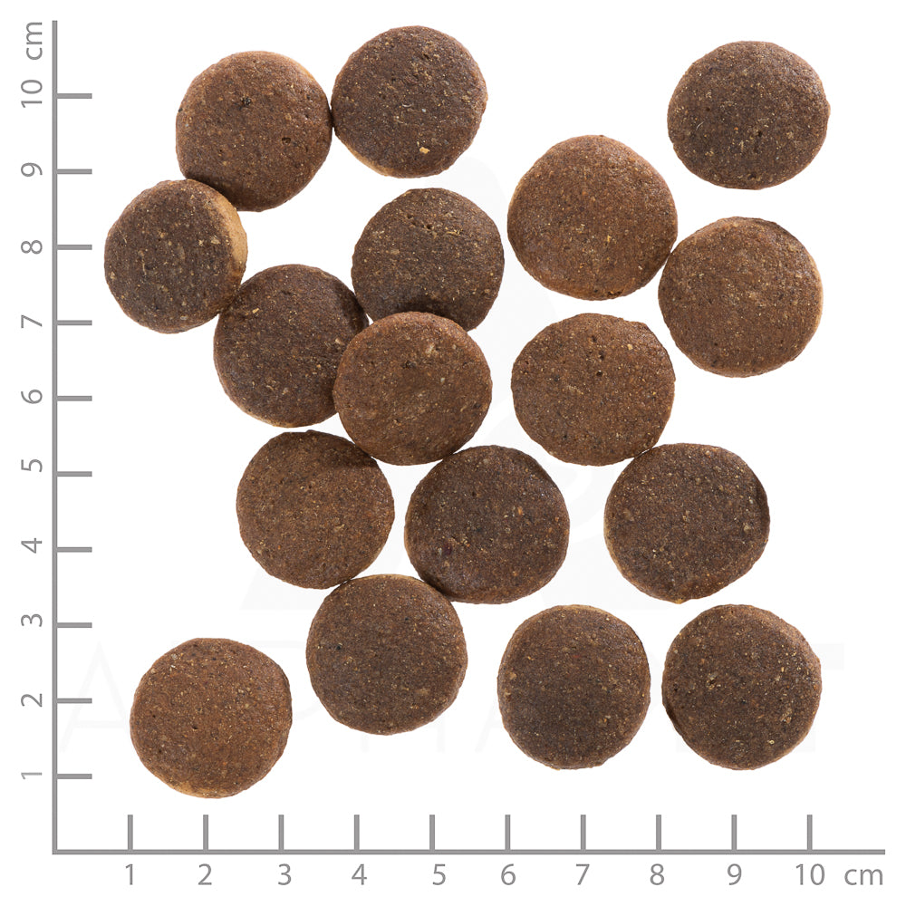 Wolfsblut Red Rock Adult Hundefutter bei Futter24
