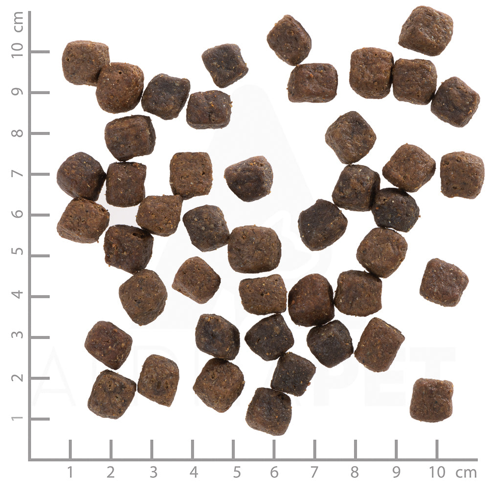 Wolfsblut Deep Glade Small Breed Hundefutter 2kg bei Futter24