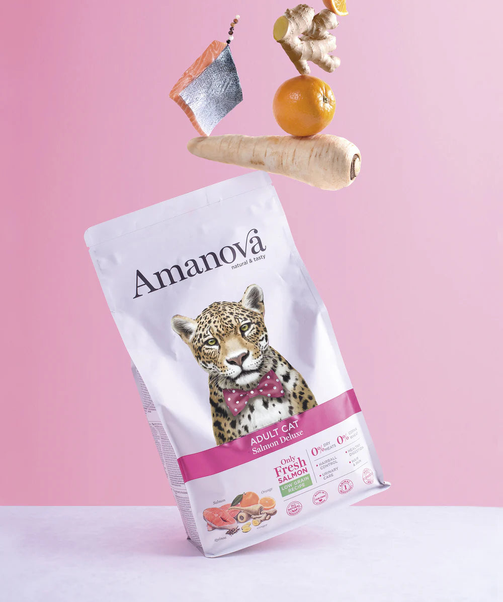 Amanova Salmon Deluxe Katzenfutter mit Lachs bei Futter24