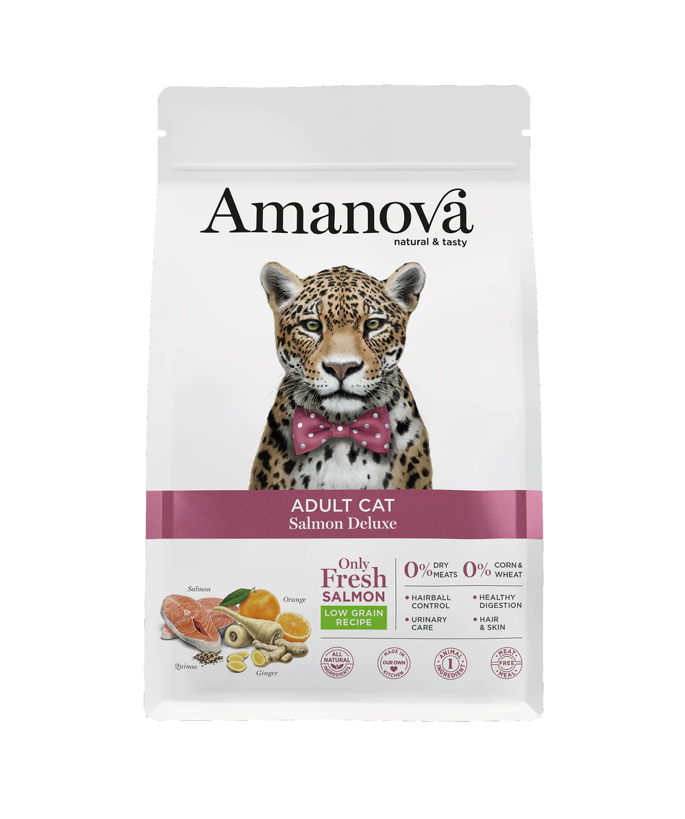 Amanova Salmon Deluxe Katzenfutter mit Lachs bei Futter24