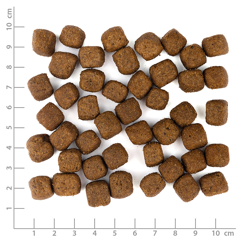 Wolfsblut Limited Ingredients Wild Duck Hundefutter mit Ente und Kartoffel bei Futter24
