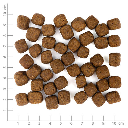 Wolfsblut Limited Ingredients Wild Duck Hundefutter mit Ente und Kartoffel bei Futter24