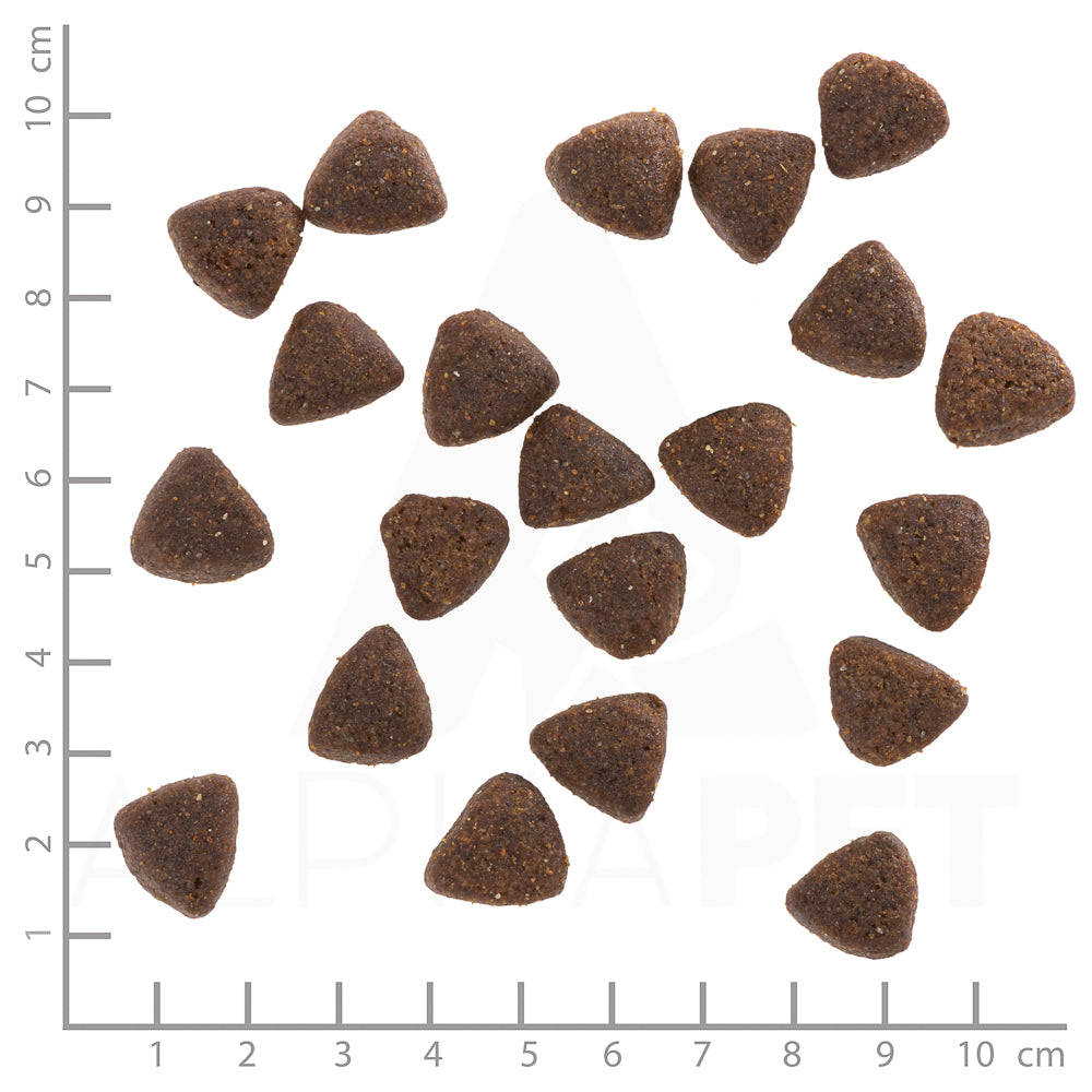 Wolfsblut Wide Plain Adult Active Hundefutter 12.5kg bei Futter24