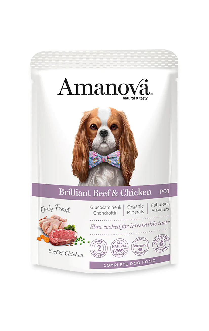 Amanova Brilliant Beef und Chicken Katzen-Nassfutter mit Rind und Huhn bei Futter24
