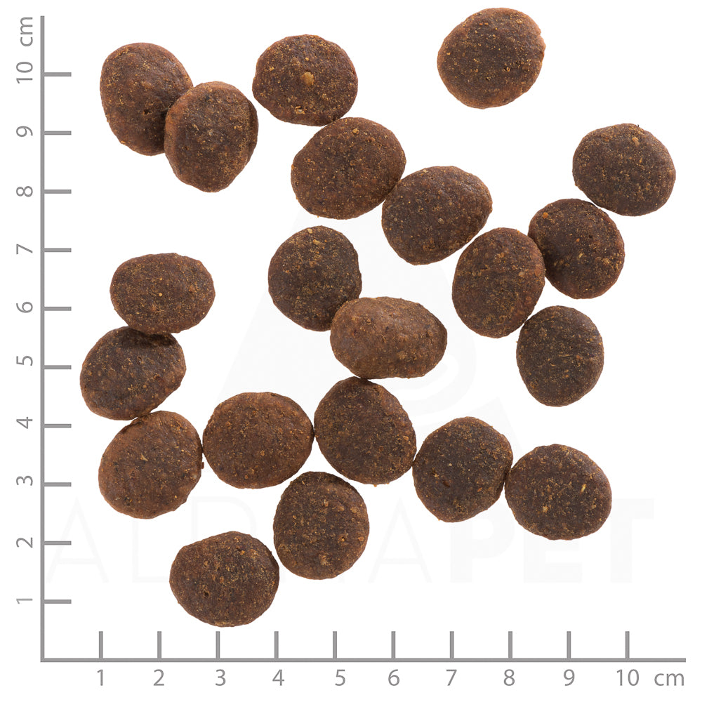 Wolfsblut Black Marsh Adult Hundefutter Produktansicht bei Futter24