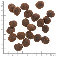 Wolfsblut Black Marsh Adult Hundefutter Produktansicht bei Futter24