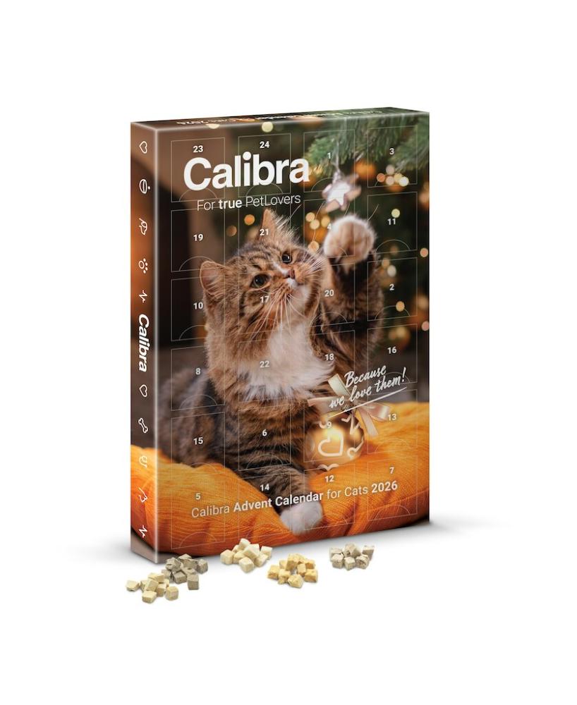 Calibra Adventskalender 2026 Katze