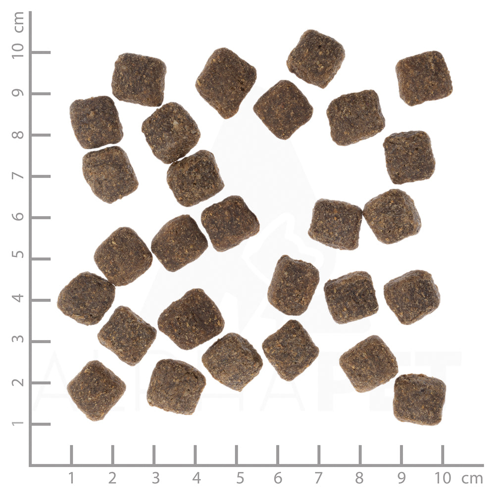 Wolfsblut Dark Forest Small Breed Hundefutter 2kg bei Futter24