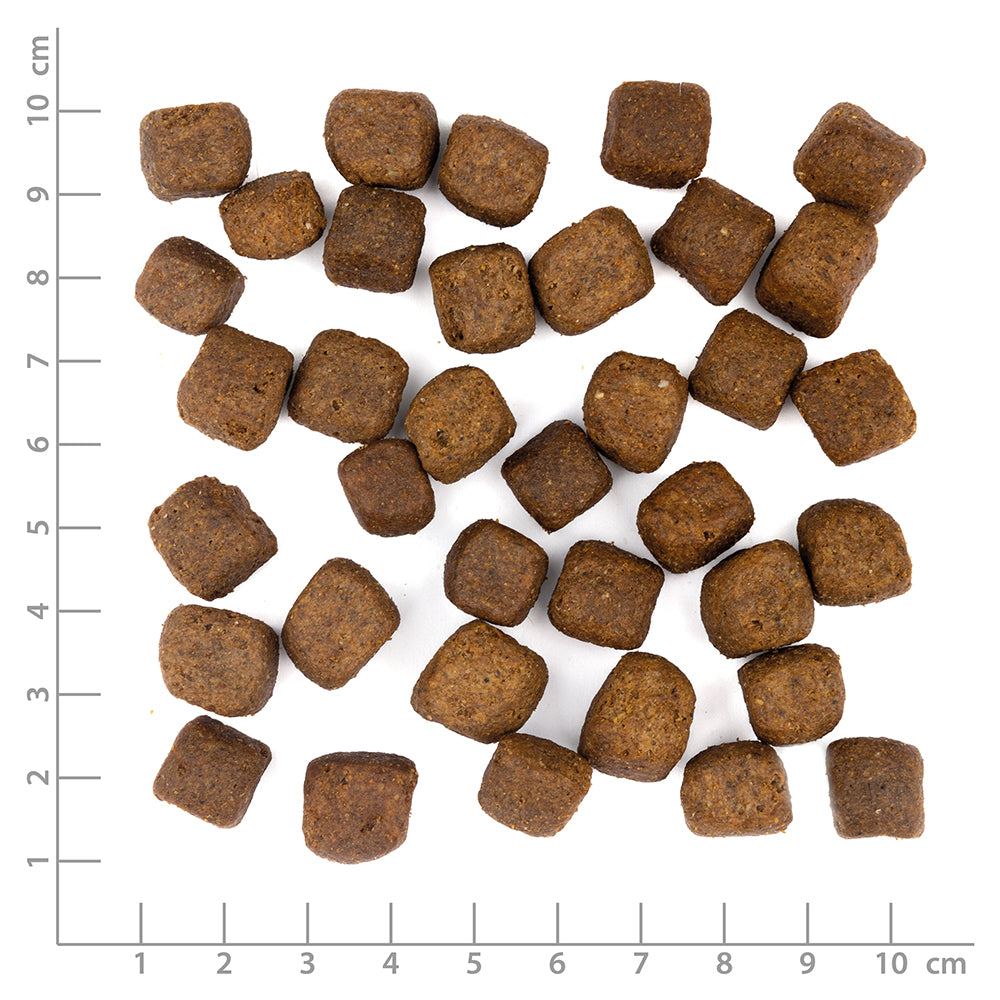 Wolfsblut Limited Ingredients Cold River Produktansicht bei Futter24