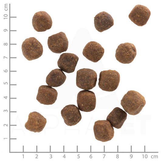 Wolfsblut Wild Duck Adult Hundefutter bei Futter24