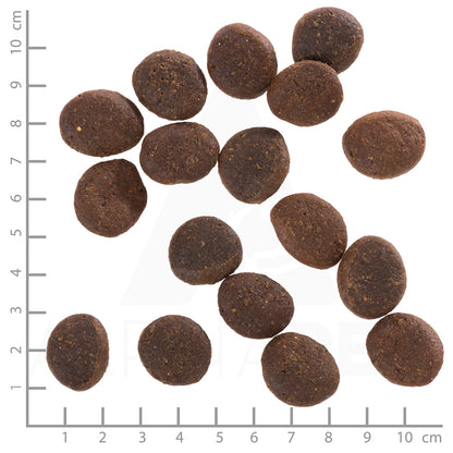 Wolfsblut Polar Night Adult Hundefutter Produktansicht bei Futter24