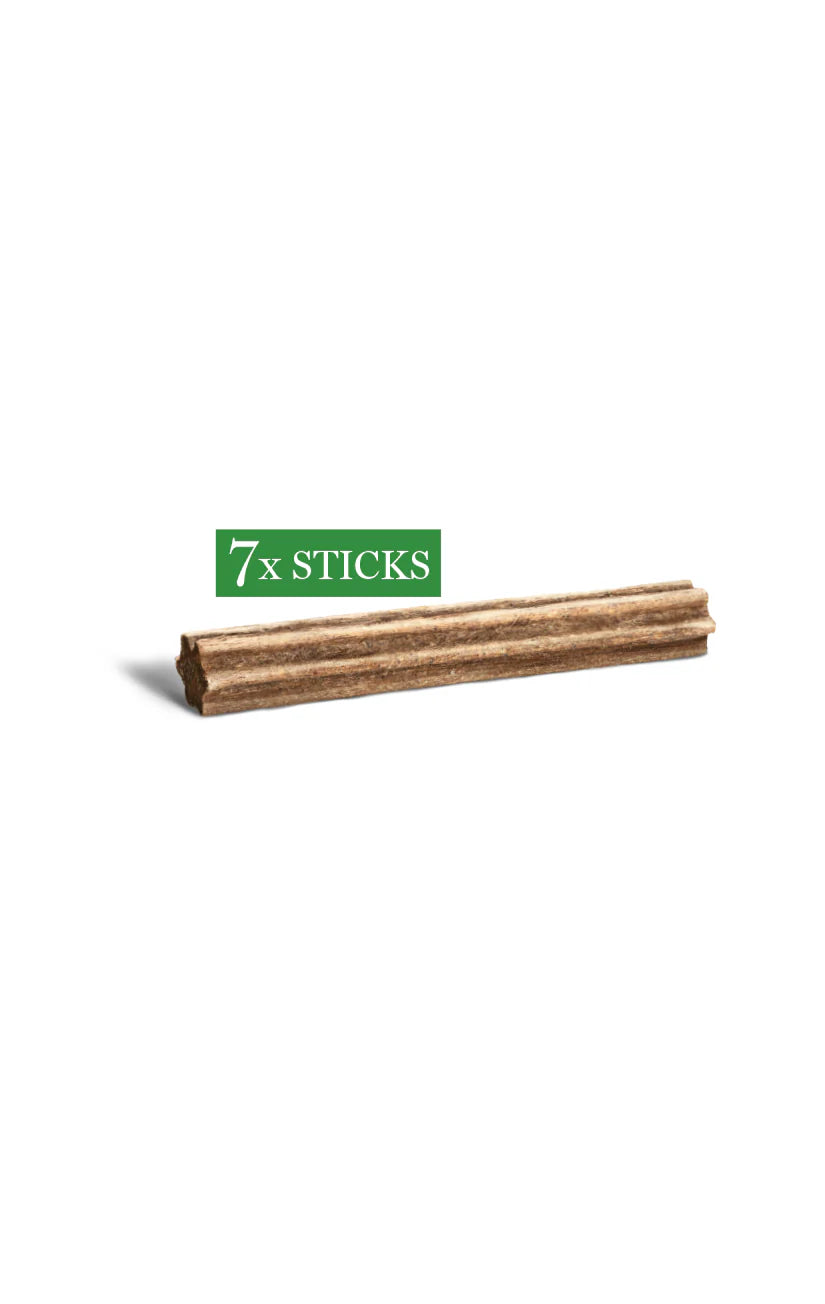 Amanova Dental Chews Medium und Large veganer Hundesnack bei Futter24