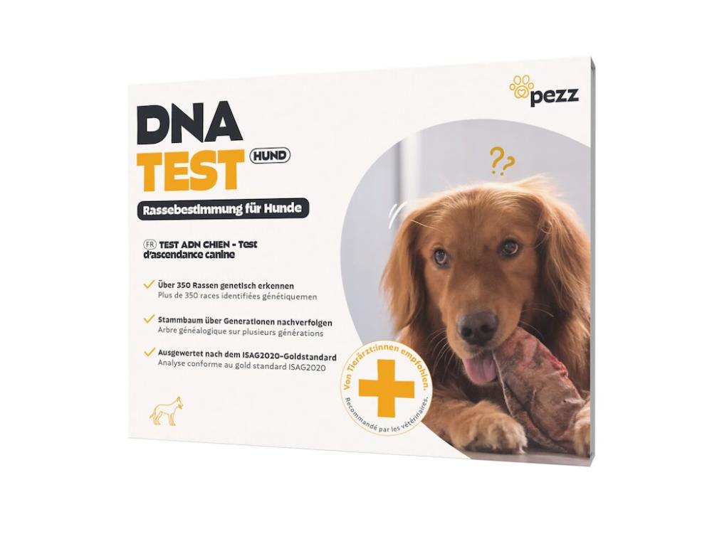 Pezz DNA-Test Rassebestimmung für Hunde bei Futter24