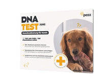 Pezz DNA-Test Rassebestimmung für Hunde bei Futter24