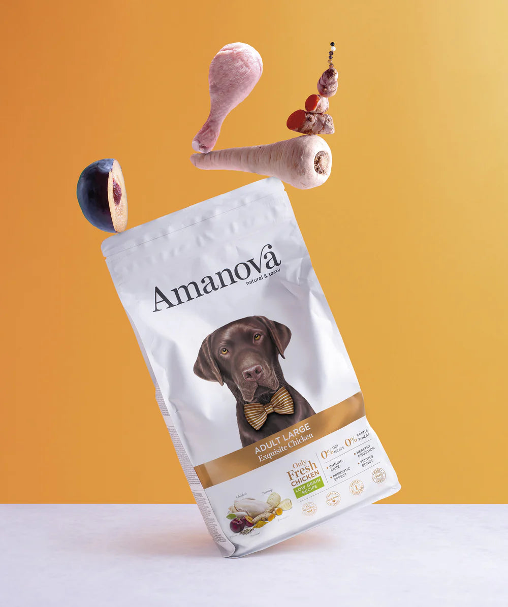 Amanova Adult Large Exquisite Chicken Hundefutter mit Huhn bei Futter24