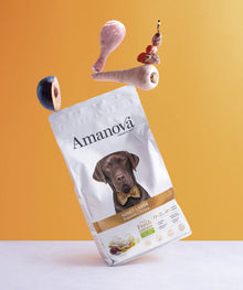 Amanova Adult Large Exquisite Chicken Hundefutter mit Huhn bei Futter24