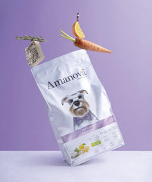 Amanova Senior Fish Delicacy Hundefutter mit weissem Fisch bei Futter24