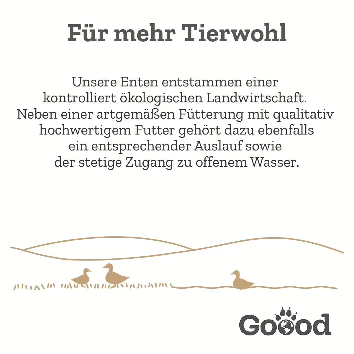 GOOOD Meat Snack Bio-Ente Hundesnack 75g bei Futter24