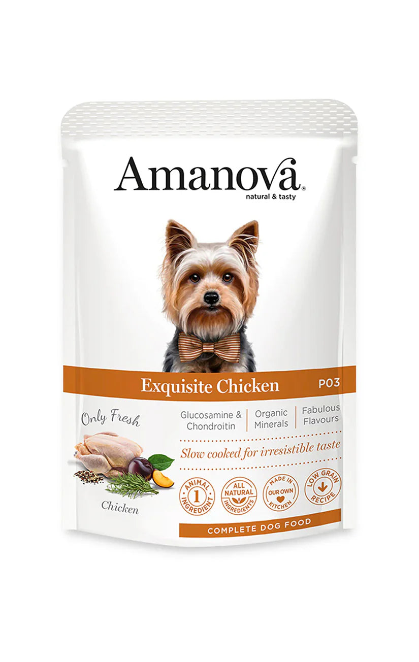 Amanova Exquisite Chicken Katzen-Nassfutter mit Huhn bei Futter24