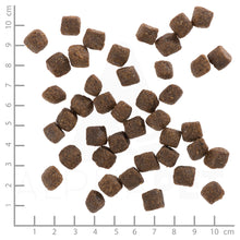 Wolfsblut Black Bird Puppy Hundefutter 12.5 kg bei Futter24
