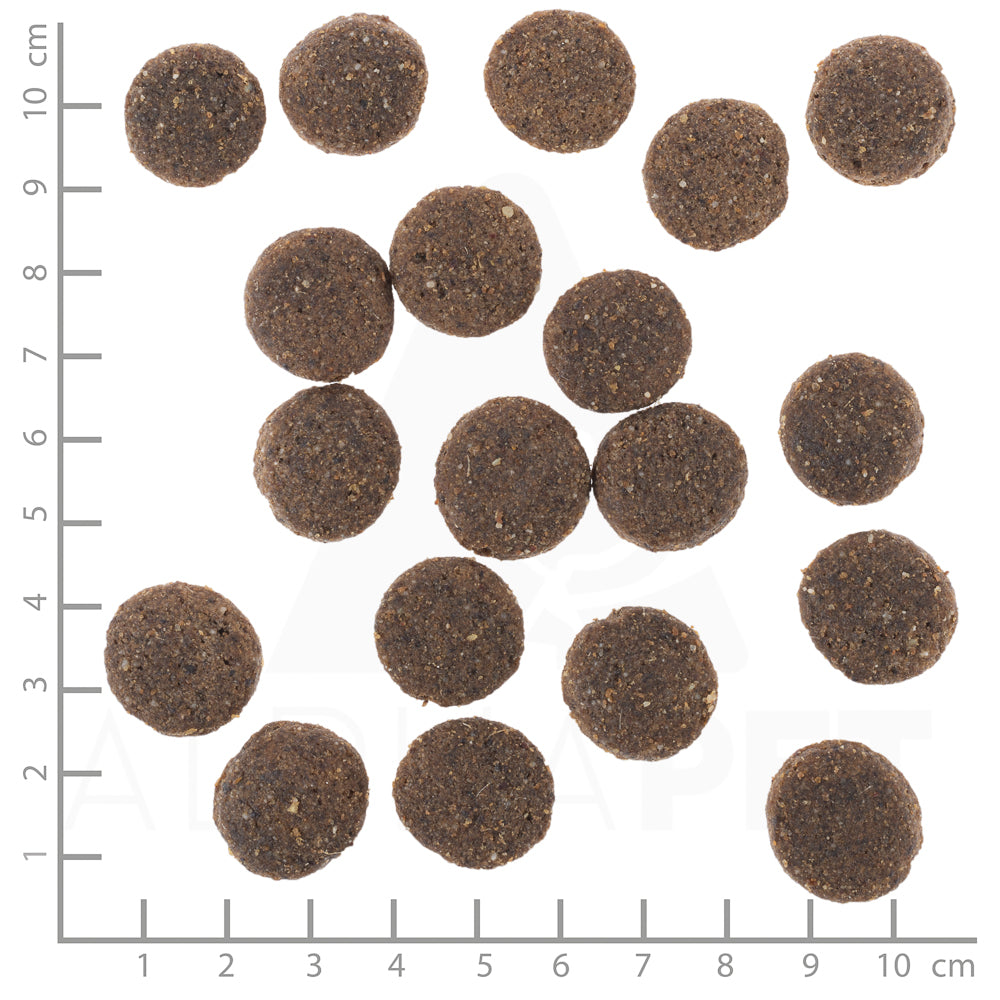 Wolfsblut Senior Range Lamb Hundefutter bei Futter24