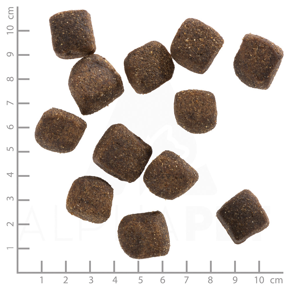 Wolfsblut Wide Plain Squashies Hundesnack 100g bei Futter24