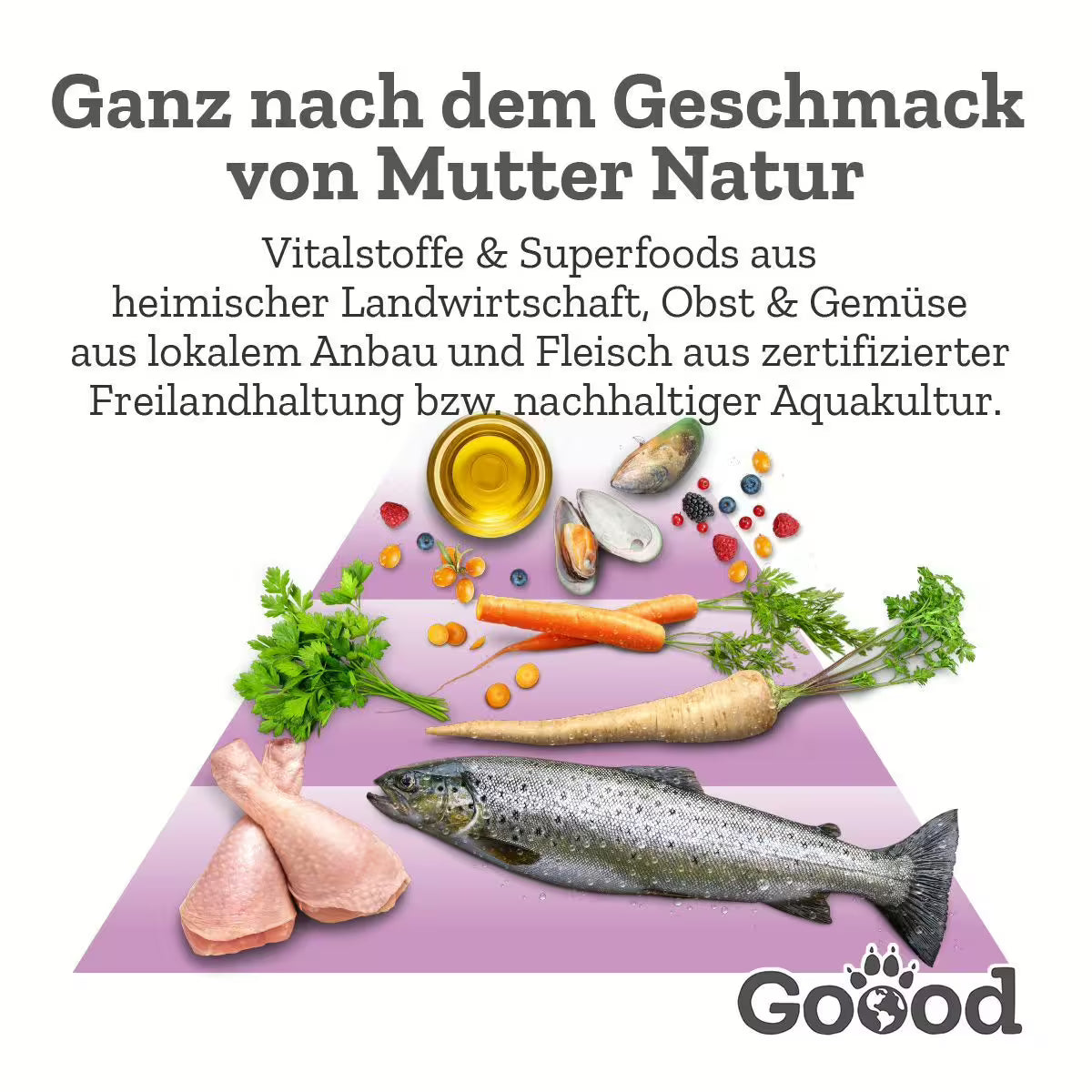 GOOOD Senior Freiland-Huhn Hundefutter bei Futter24