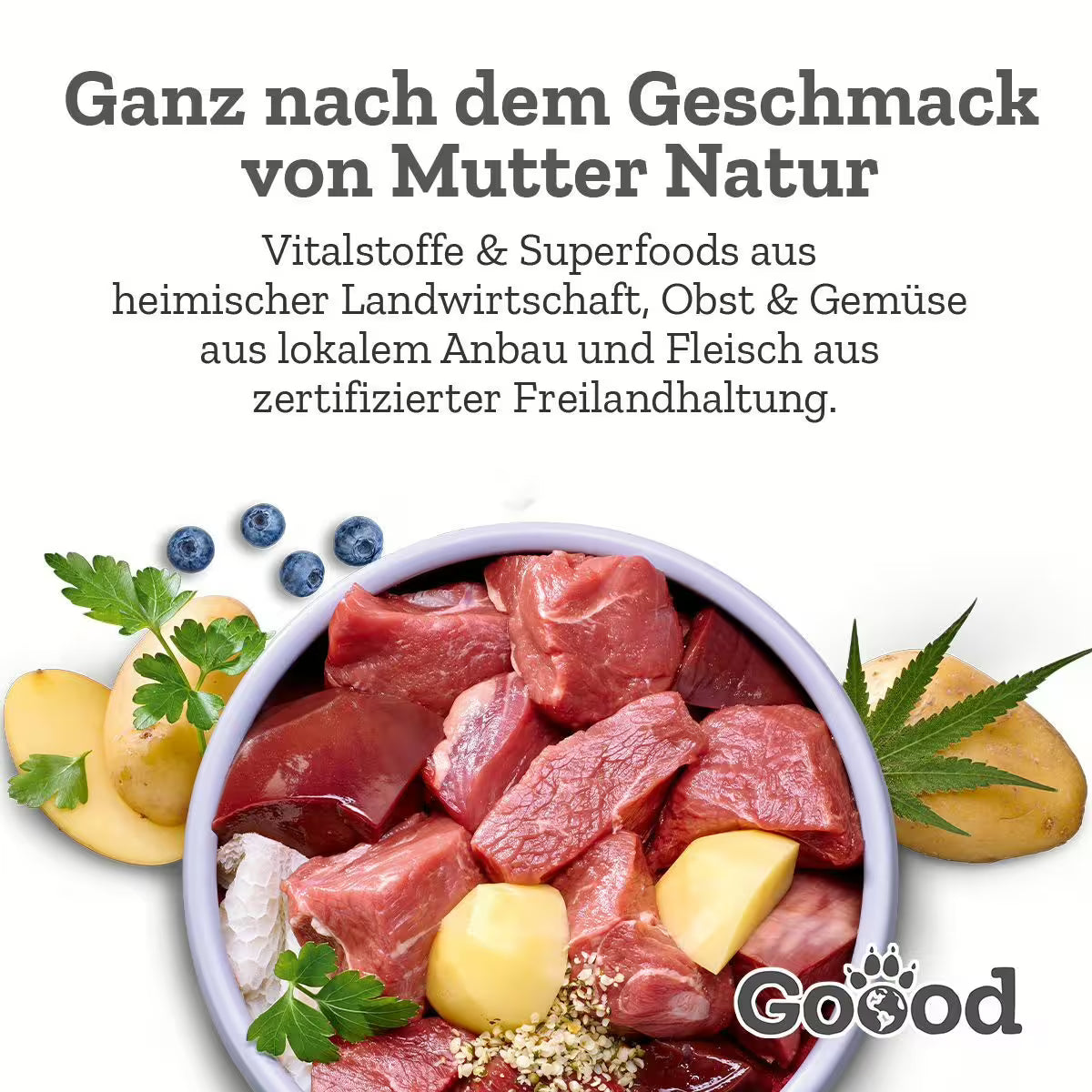 GOOOD Nassfutter Adult Freiland-Lamm bei Futter24