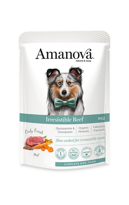 Amanova Irresistible Beef Katzen-Nassfutter mit Rind bei Futter24
