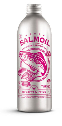 Salmoil Joint Wellness Rezept Nr 6 Ergänzungsfuttermittel bei Futter24